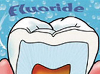 fluoride strengthens enamel